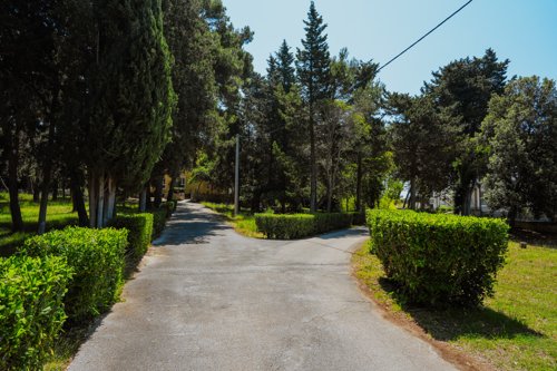 Fotografija Psihijatrijske bolnice Ugljan