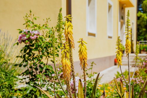 Fotografija Psihijatrijske bolnice Ugljan